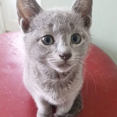 Luna
